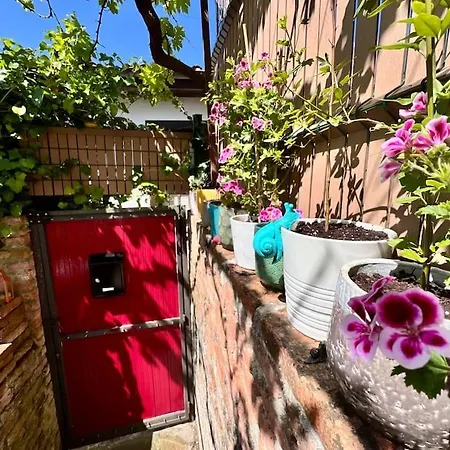 Apartment La Casa Azul